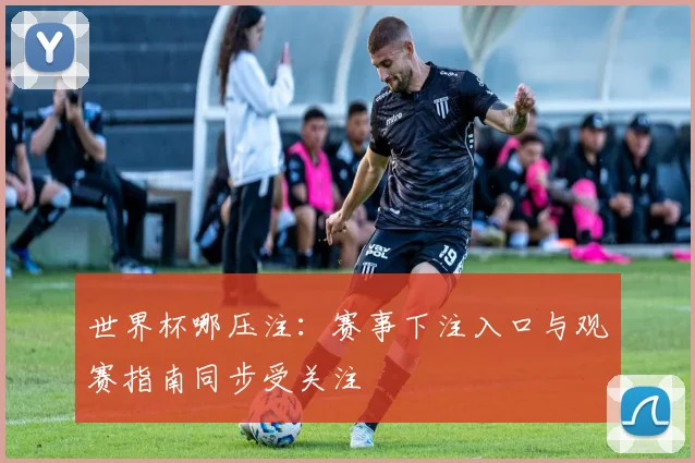 世界杯哪压注:赛事下注入口与观赛指南同步受关注
