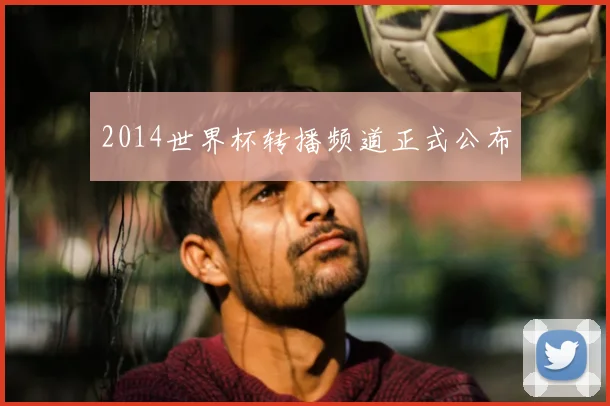 2014世界杯转播频道正式公布