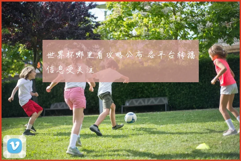 世界杯哪里看攻略公布 各平台转播信息受关注
